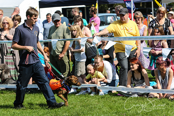RSPCA K9 Party in the Park 2012