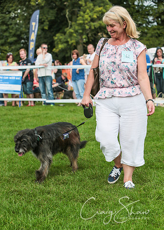 RSPCA K9 Party in the Park 2012
