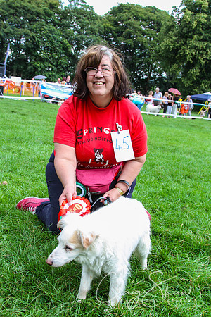 RSPCA K9 Party in the Park 2012
