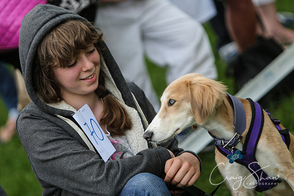 RSPCA K9 Party in the Park 2012