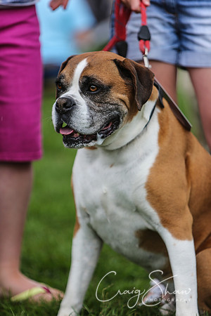 RSPCA K9 Party in the Park 2012