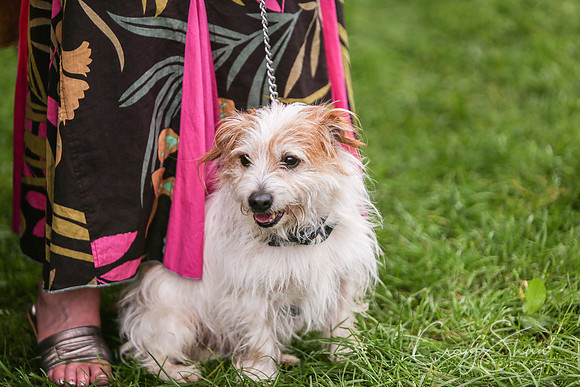 RSPCA K9 Party in the Park 2012