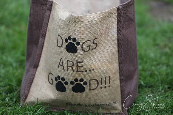 RSPCA K9 Party in the Park 2012