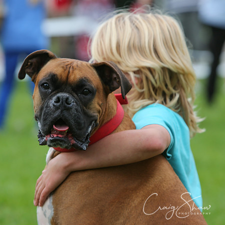 RSPCA K9 Party in the Park 2012