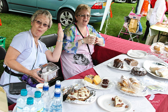 RSPCA K9 Party in the Park 2012