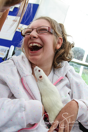 RSPCA K9 Party in the Park 2012