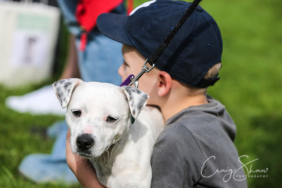 RSPCA K9 Party in the Park 2012