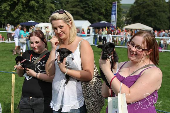 RSPCA K9 Party in the Park 2012