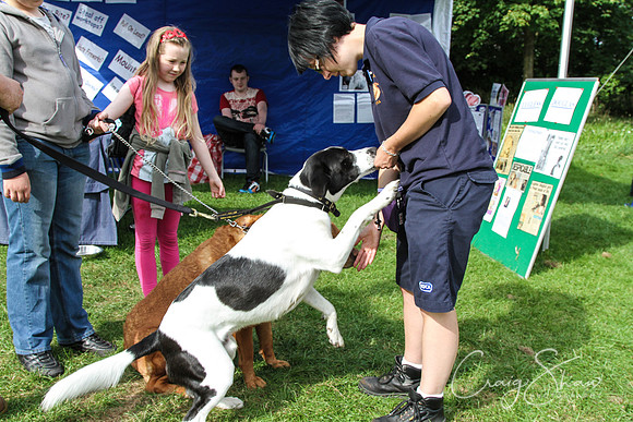 RSPCA K9 Party in the Park 2012