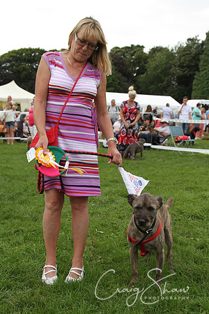 RSPCA K9 Party in the Park 2012