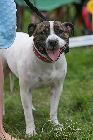RSPCA K9 Party in the Park 2012