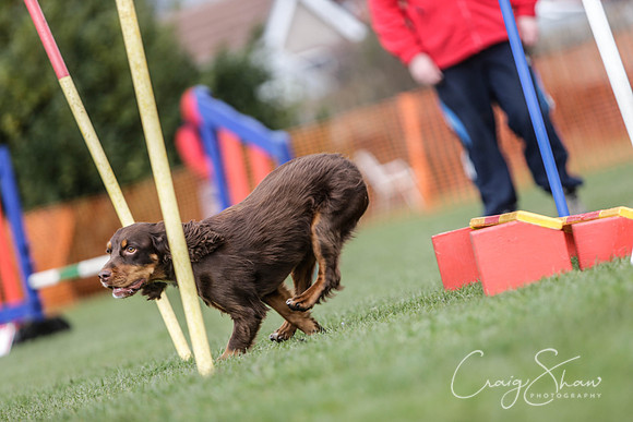 451__SpringersFunDay_March2014_bluplanetphoto