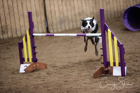 1638_SpringFling2014_bluplanetphoto