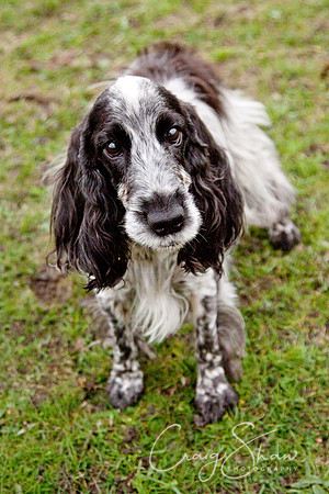 spring fling 2012-2496