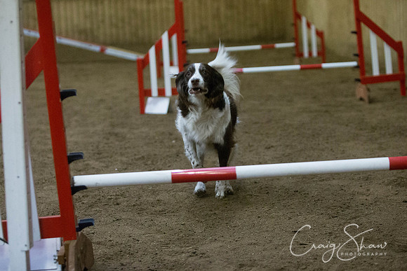 2888_springfling2015_bluplanetphoto