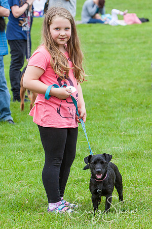 RSPCA Dog Day Afternoon