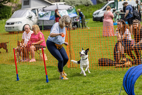 1604_HebdensHappyHounds2024_Cshaw-