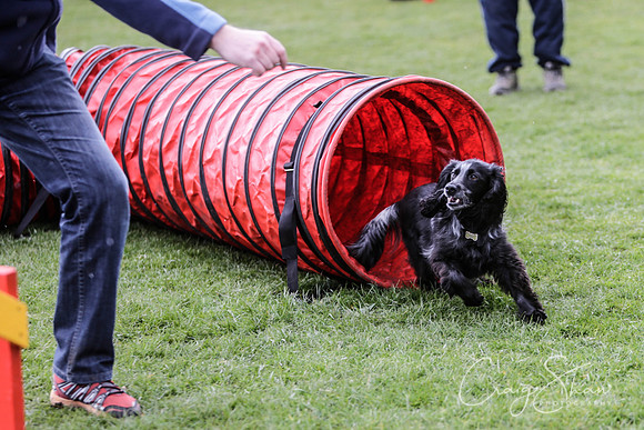 438__SpringersFunDay_March2014_bluplanetphoto