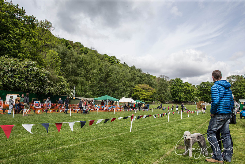 34_SalemFieldsFunDay2015_craigshaw