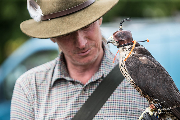 541_TodAgriculturalShow2014__bluplanetphoto