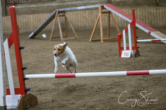 1650_springfling2015_bluplanetphoto