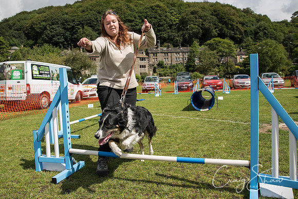 560_HebdenHappyHounds_2014_bluplanetphoto