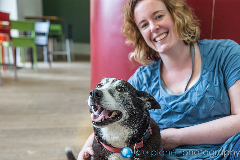 525_Harry_Dogshoots10april2015_craigshaw