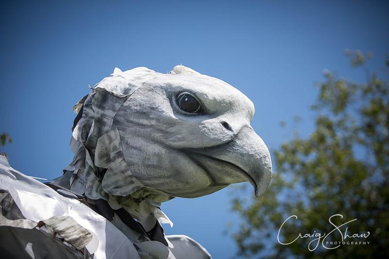 3897_HandmadeParade2015_craigshawphoto