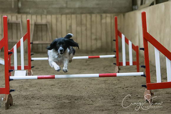 2701_springfling2015_bluplanetphoto