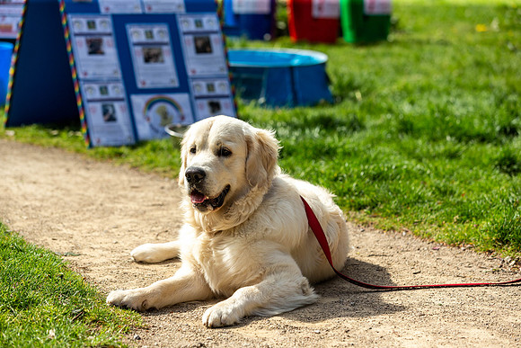 218__HebdensHappyHounds2022_May2022_cshaw