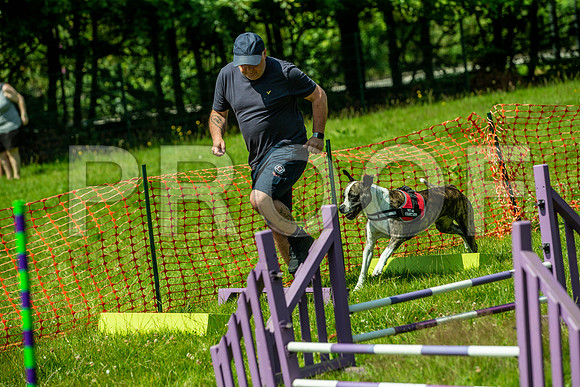 1467__PAWSFundogShow_July2022_cshaw