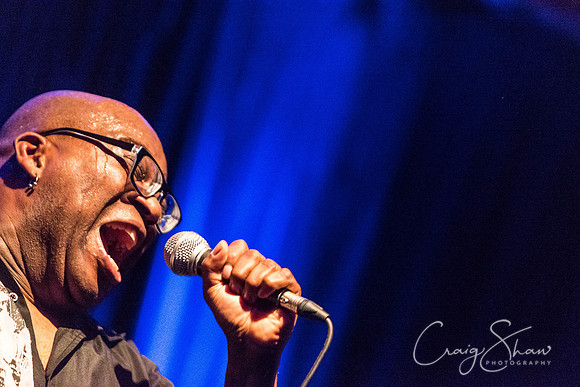 1454_barrencewhitfieldandthesavages_Nov2014_craigshaw