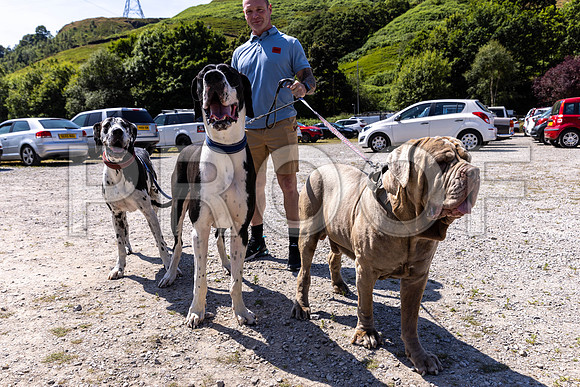 1030__PAWSFundogShow_July2022_cshaw