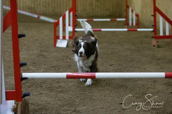 2887_springfling2015_bluplanetphoto