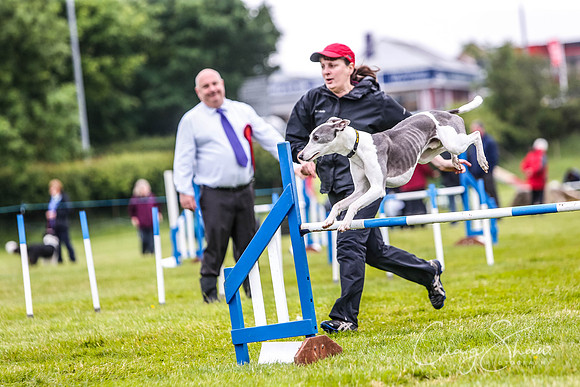 191_newtonheath2015_saturday_craigshaw
