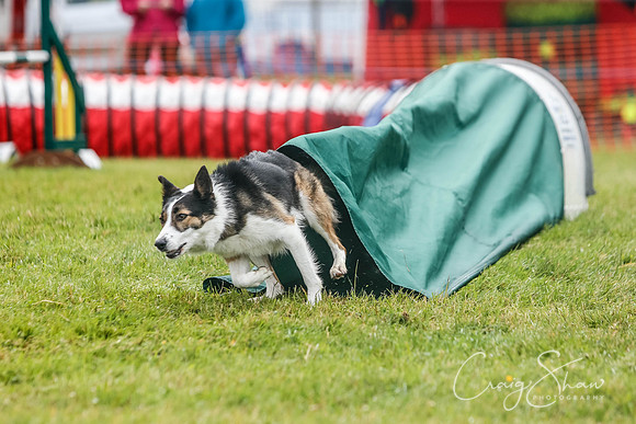 3173_newtonheath2015_saturday_craigshaw