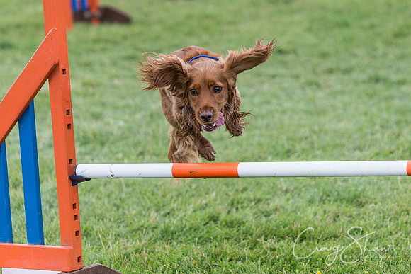 3480_newtonheath2015_saturday_craigshaw
