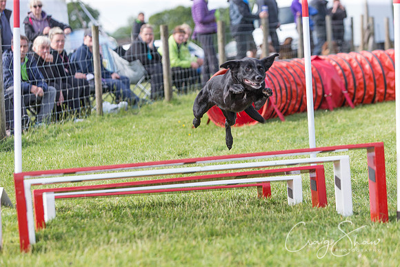 3597_newtonheath2015_saturday_craigshaw