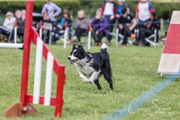 3621_newtonheath2015_saturday_craigshaw