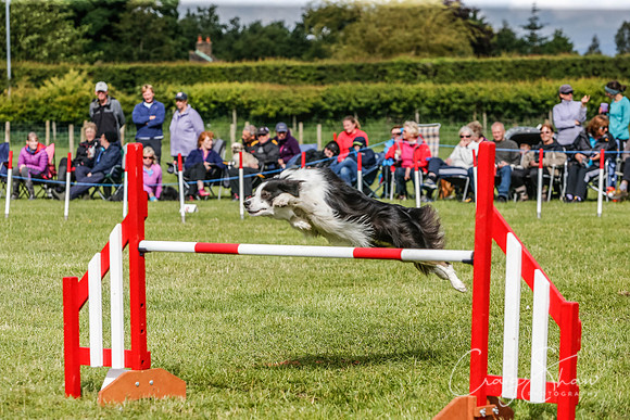 3695_newtonheath2015_saturday_craigshaw