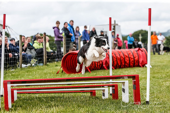 3710_newtonheath2015_saturday_craigshaw