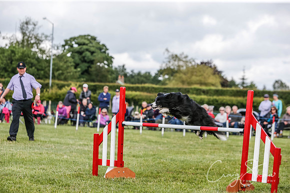 3785_newtonheath2015_saturday_craigshaw