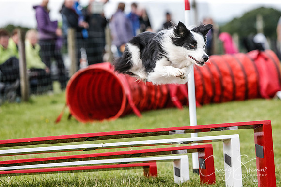 3799_newtonheath2015_saturday_craigshaw