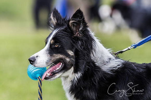 IMG_6917