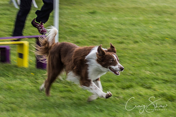 IMG_7006