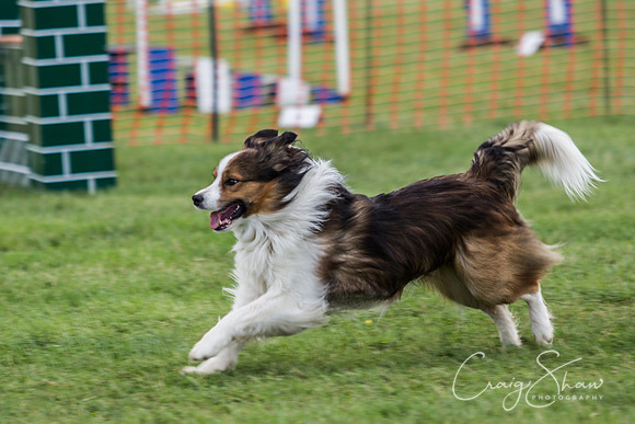 IMG_7097