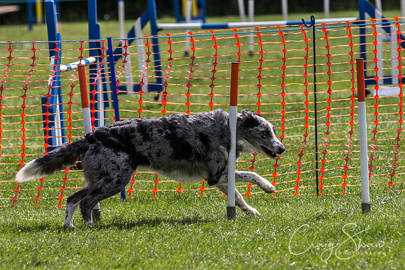 IMG_7106