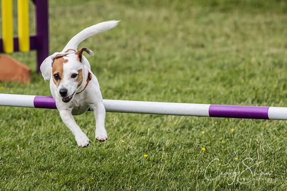 IMG_7458