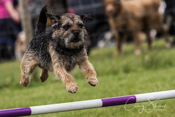 IMG_7464-2