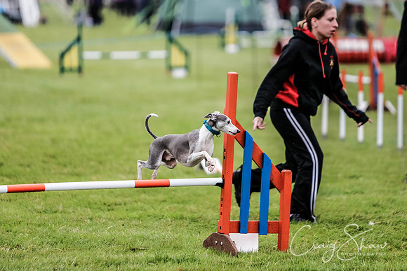 463_newtonheath2015_saturday_craigshaw
